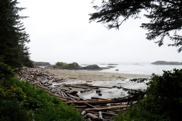 tofino-landscape-1