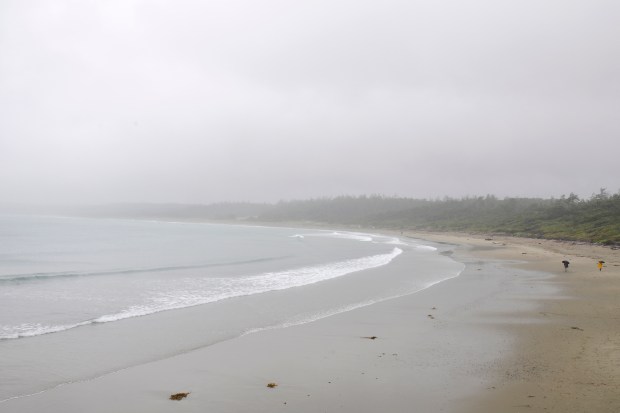 tofino-landscape-2