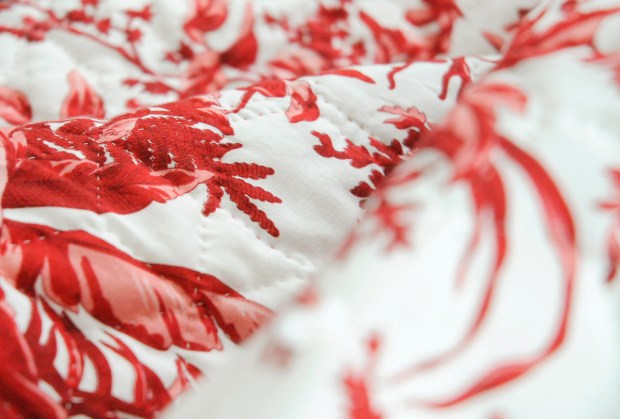 Snow in Grandmother's Garden